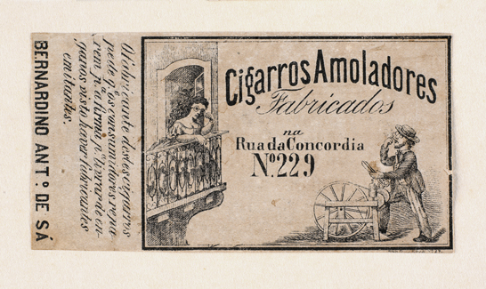 vizualizar o documento on line